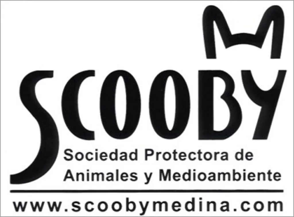 the logo of Scooby Medina